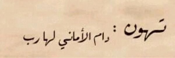 _mzyan_ Profile Banner