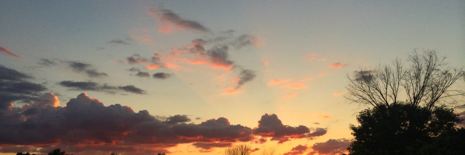 lucymlamp's profile banner image