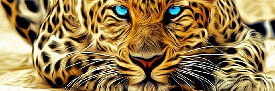 itsHans's profile banner image