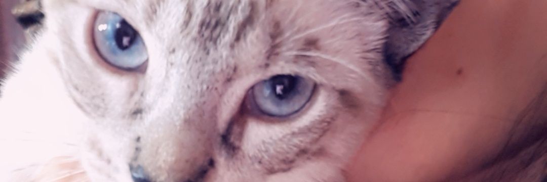 AlbaSm24's profile banner image