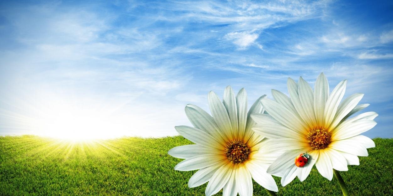 sam_seo's profile banner image
