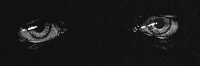 yan19951995's profile banner image