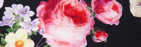 AmyChappers's profile banner image