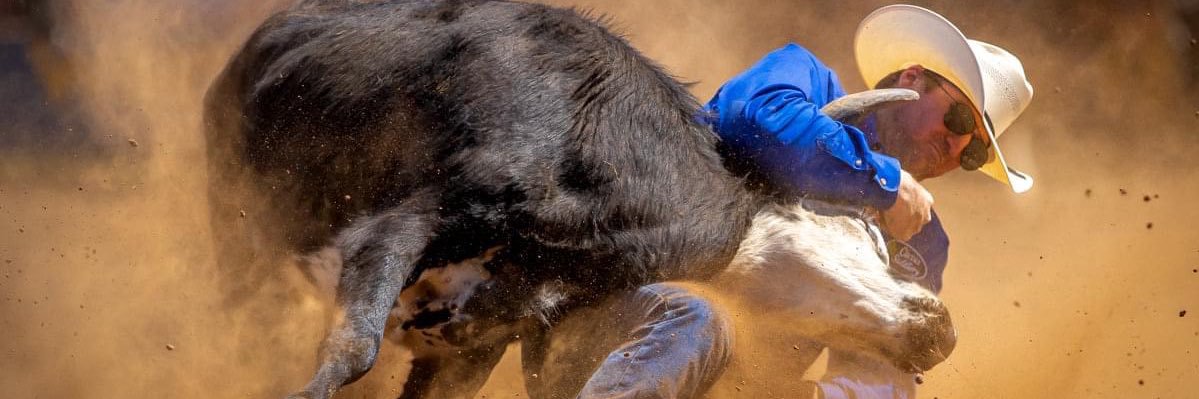 Bear Pascoe banner