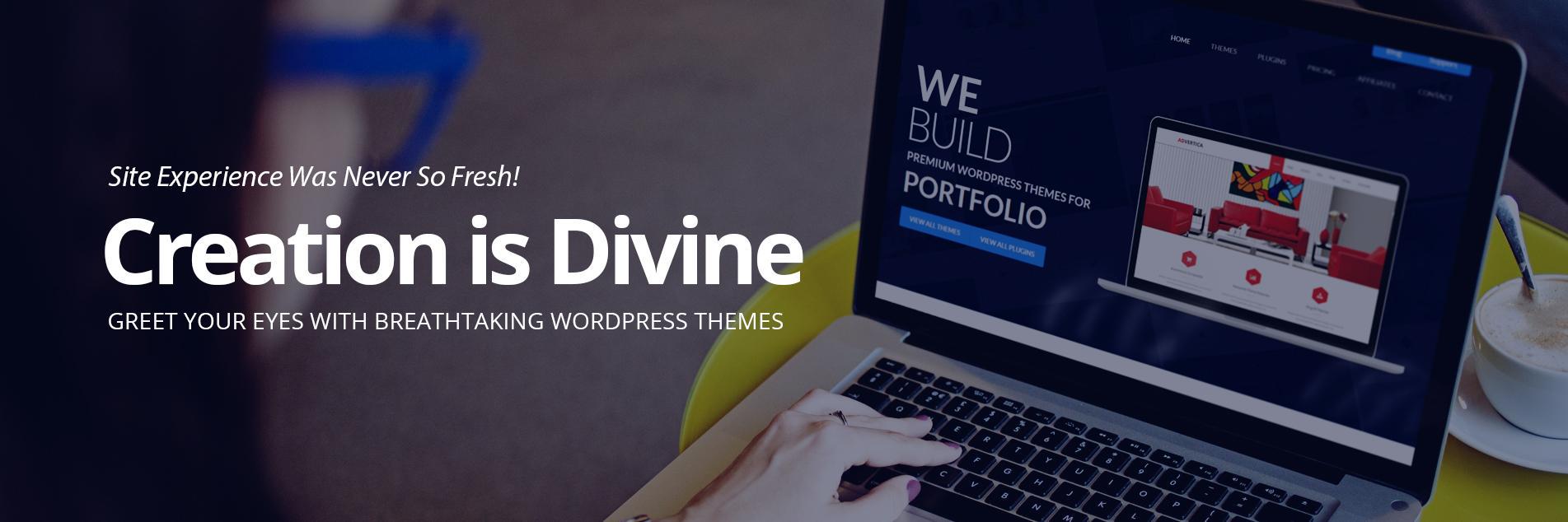 SketchThemes's profile banner image