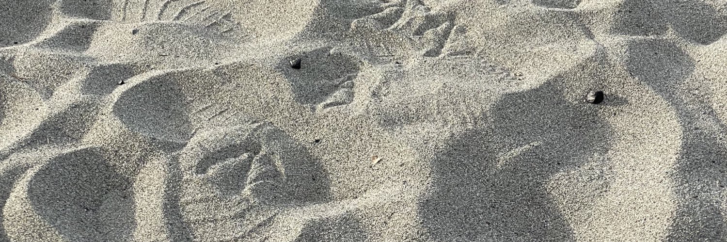 aaronmdesilva's profile banner image