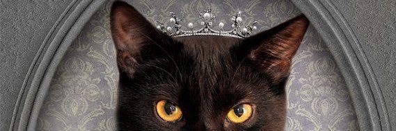 leonadejulio's profile banner image