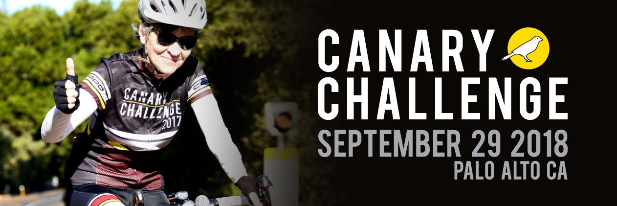 CanaryChallenge's profile banner image