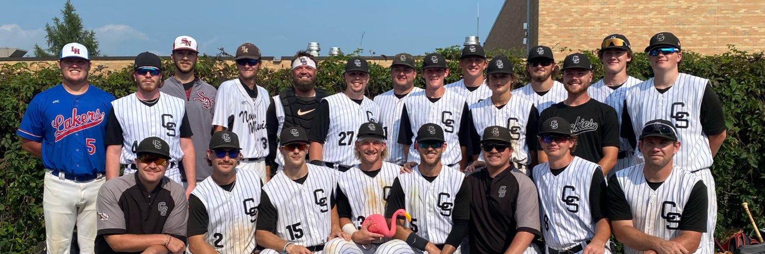 Cold Spring Rockies banner