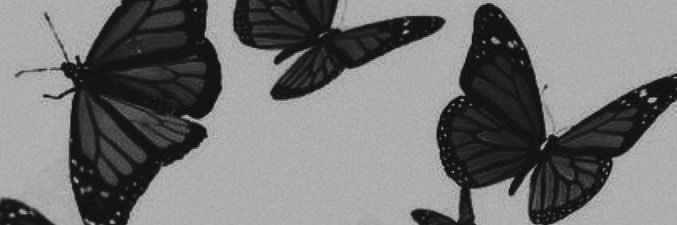 autumndcooper's profile banner image