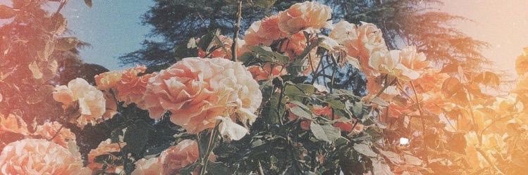 Emma_mln's profile banner image