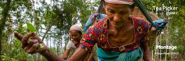 pamvoth Profile Banner