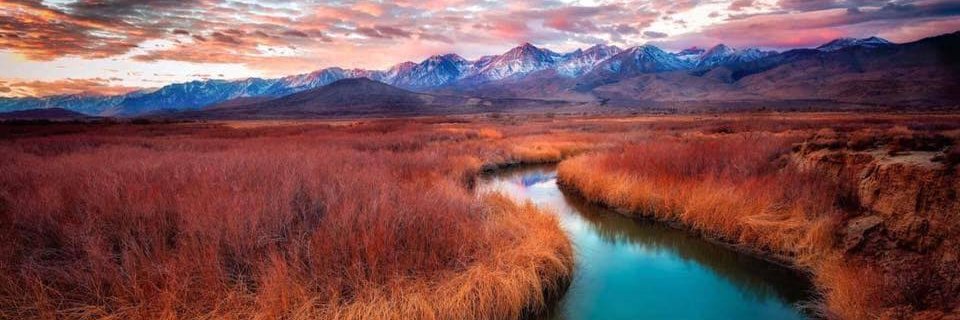 randygarn's profile banner image