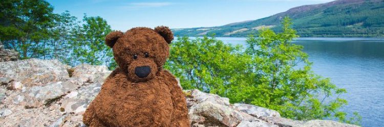 Codswallop T Bear OO8 🐻 - Parody banner