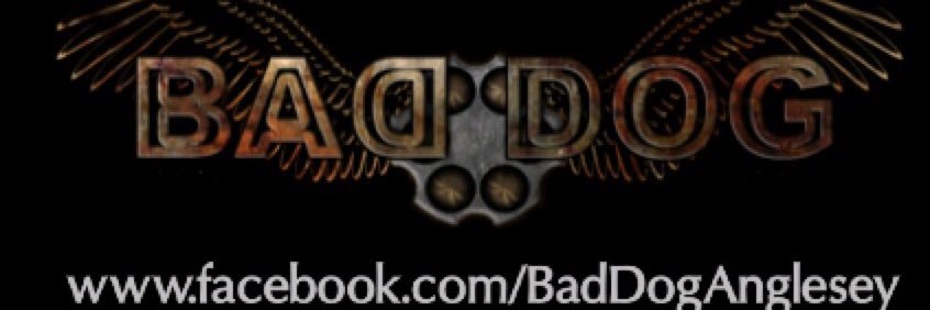 BadDogAnglesey's profile banner image