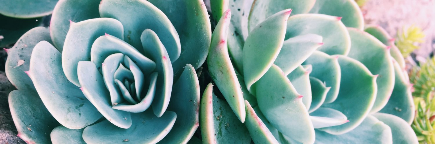 allip_23's profile banner image