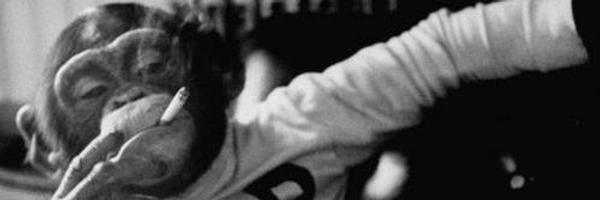 vittoo_20's profile banner image