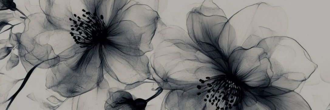 SelinnClk61's profile banner image
