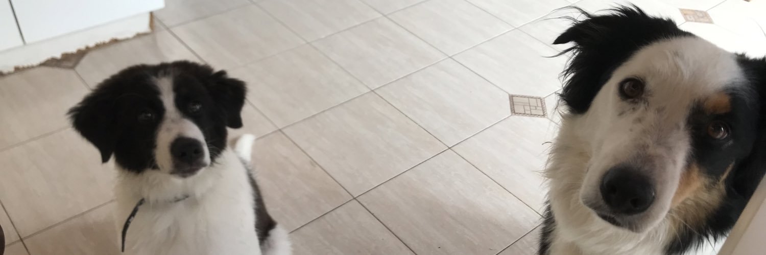 valentinagamba_'s profile banner image