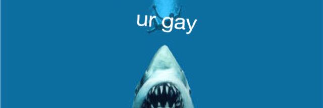 OceanCityShark's profile banner image