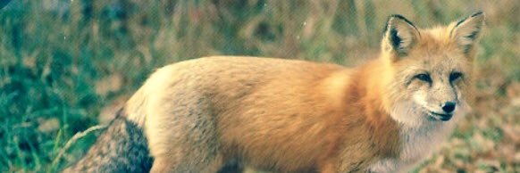 Scribner4th's profile banner image
