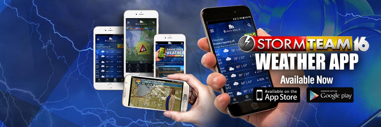 Kimberly Newman banner