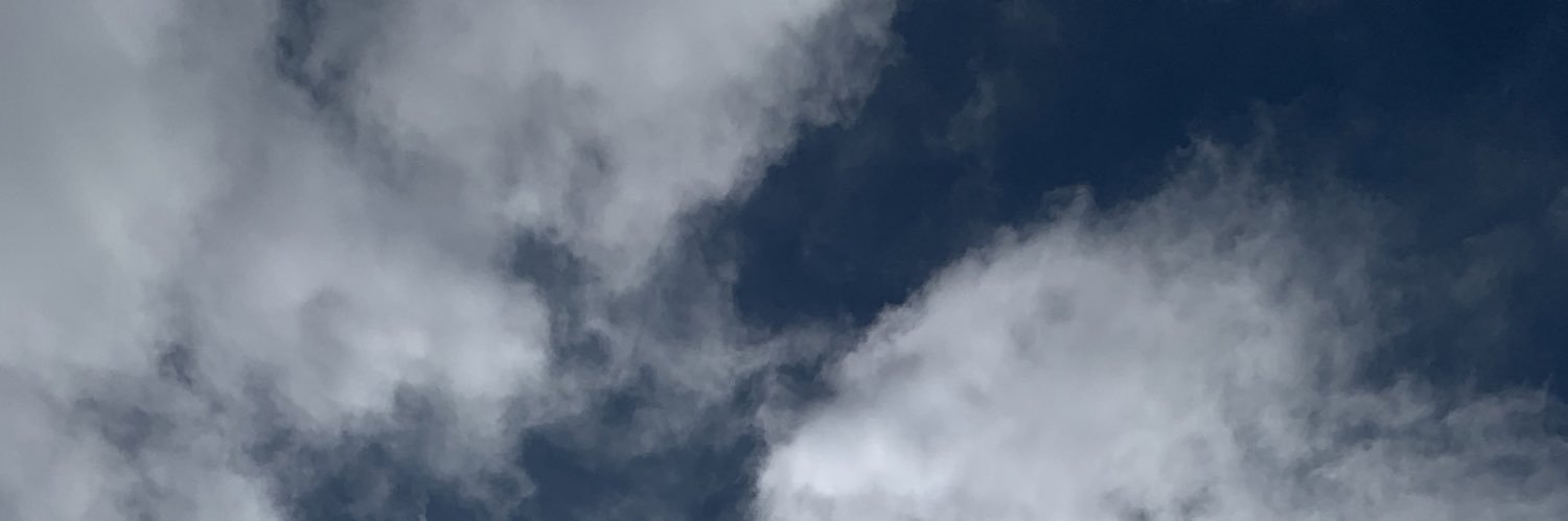 pelseki's profile banner image
