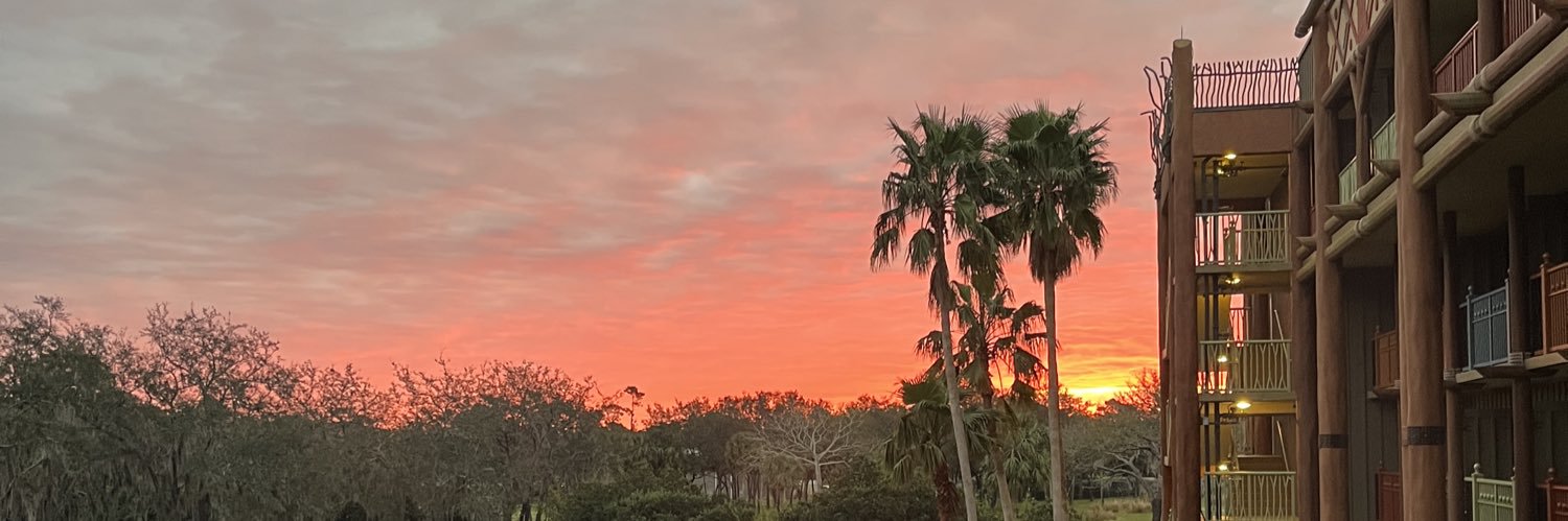 allyakerberg12's profile banner image