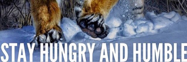 __SwaggyC's profile banner image