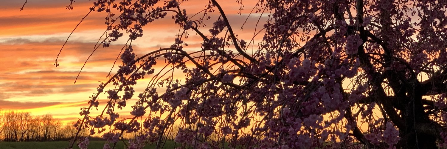 kayLArickELL's profile banner image