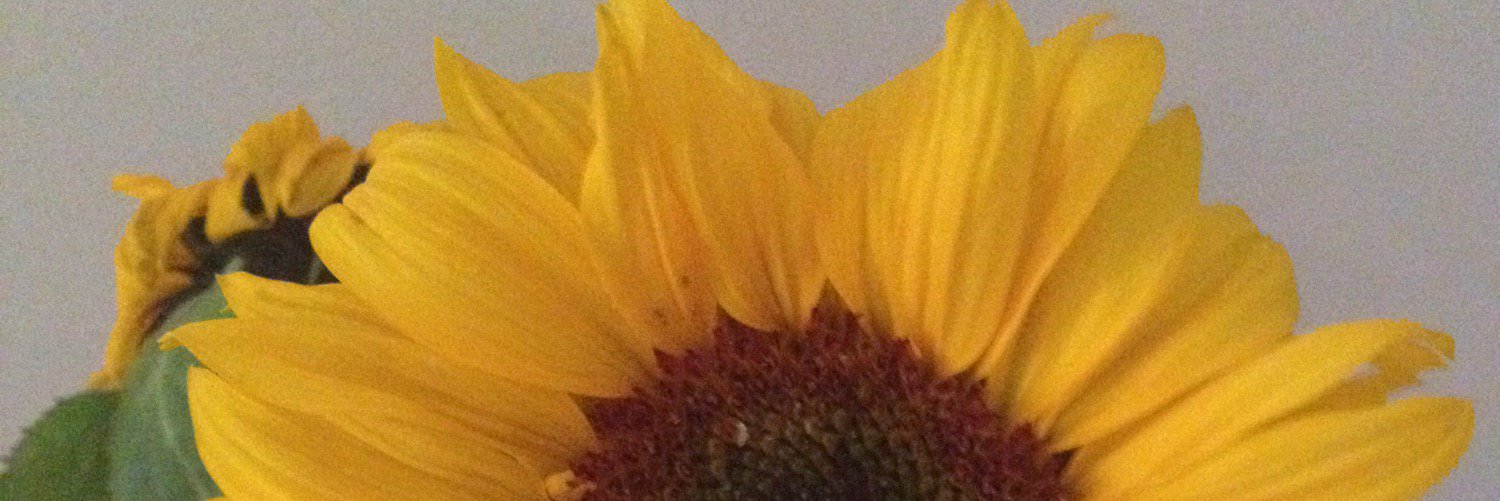 Kenundrum52's profile banner image