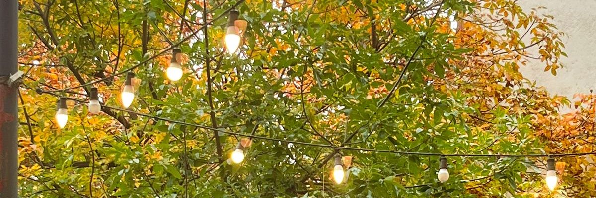 Aguscarreraas's profile banner image