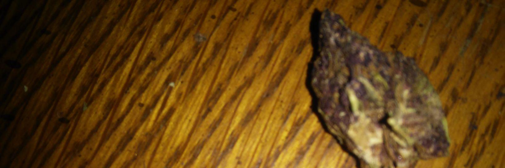 1167_707's profile banner image