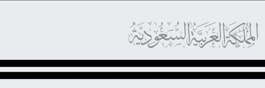 officialsarii's profile banner image