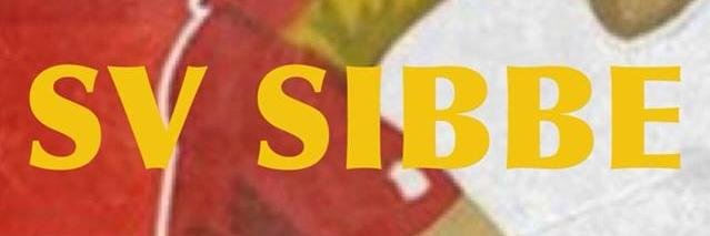 SVSibbe's profile banner image