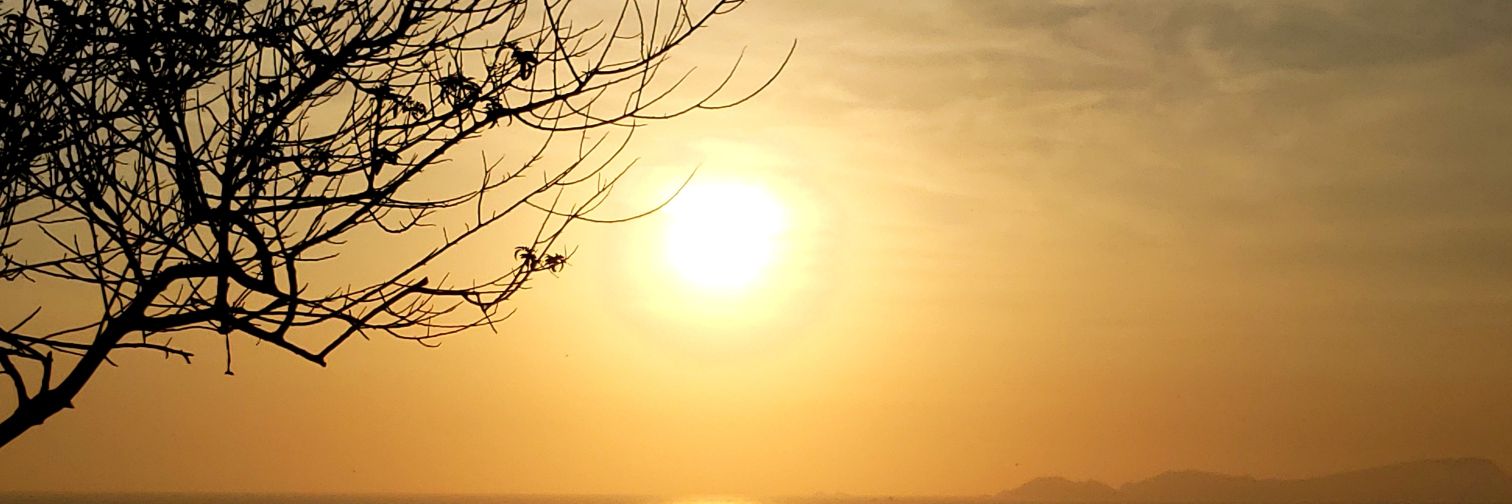 JillSorbie's profile banner image