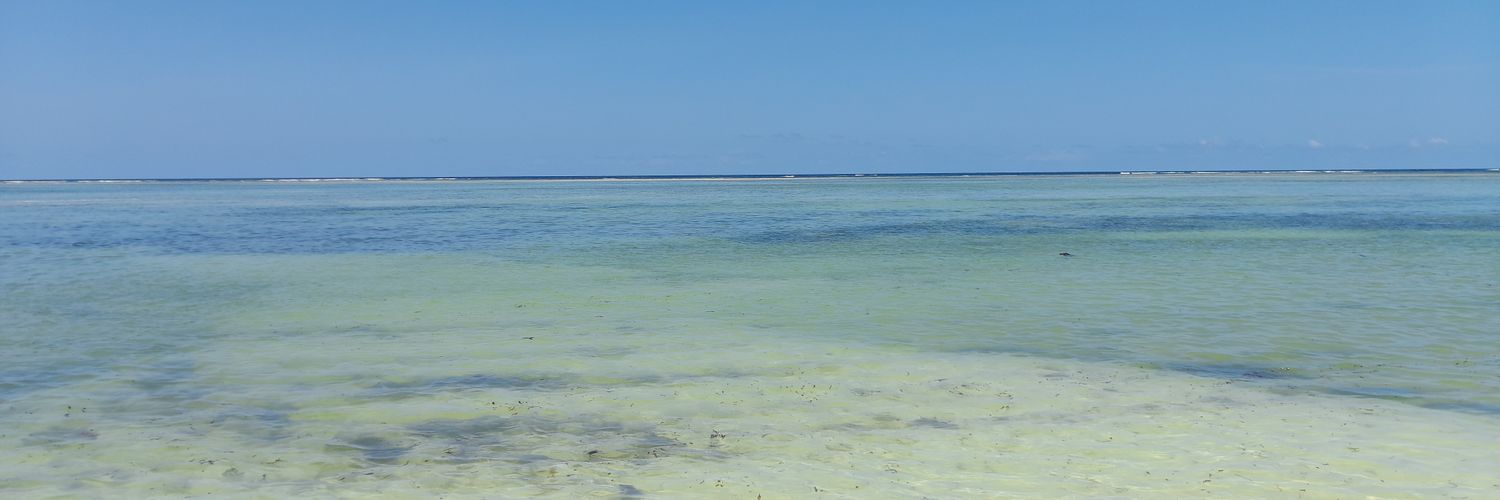 fcarstone's profile banner image