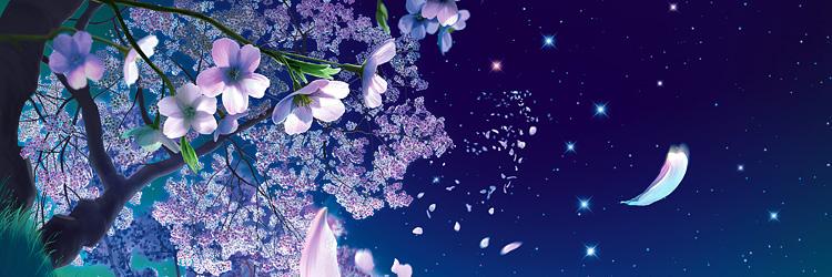 asli84x's profile banner image