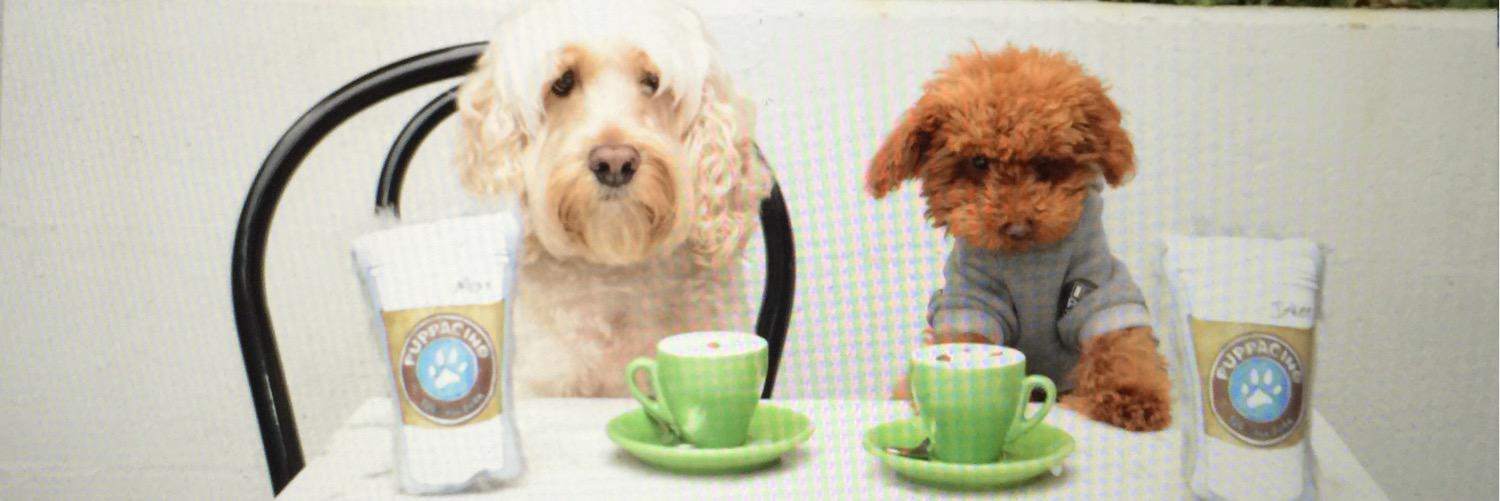 IdPetAustralia's profile banner image