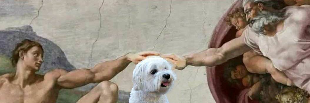 SamperArias's profile banner image