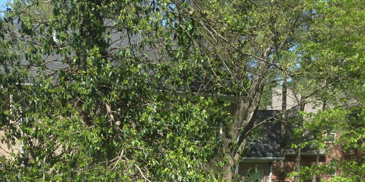 hhmoose's profile banner image