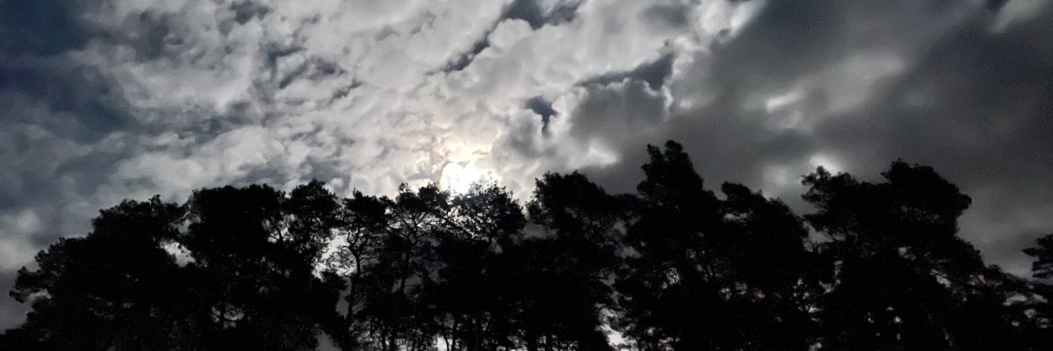 alexpetring's profile banner image