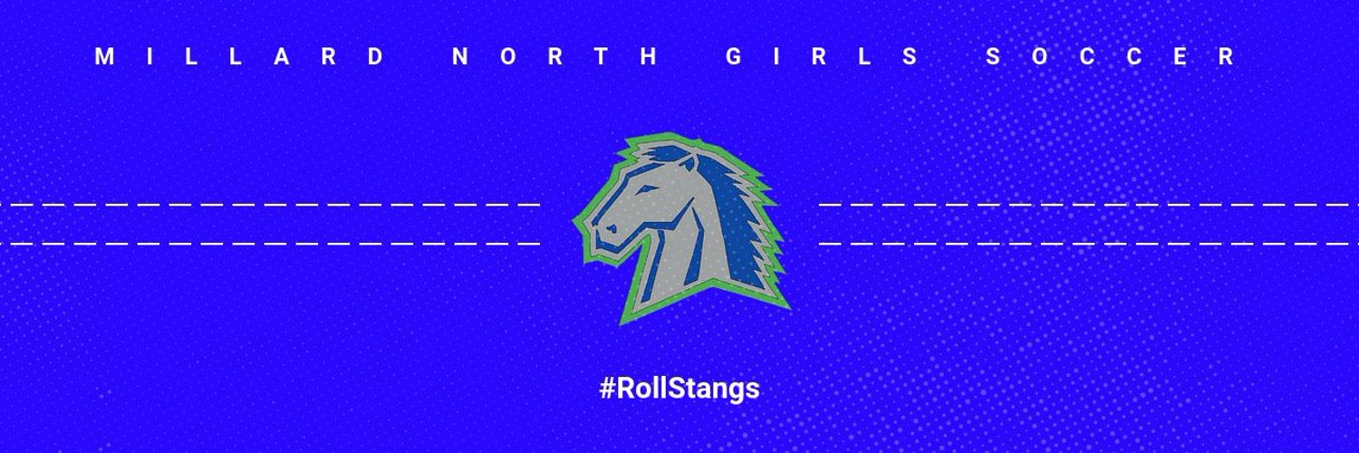 Lady Stang Soccer Profile Banner