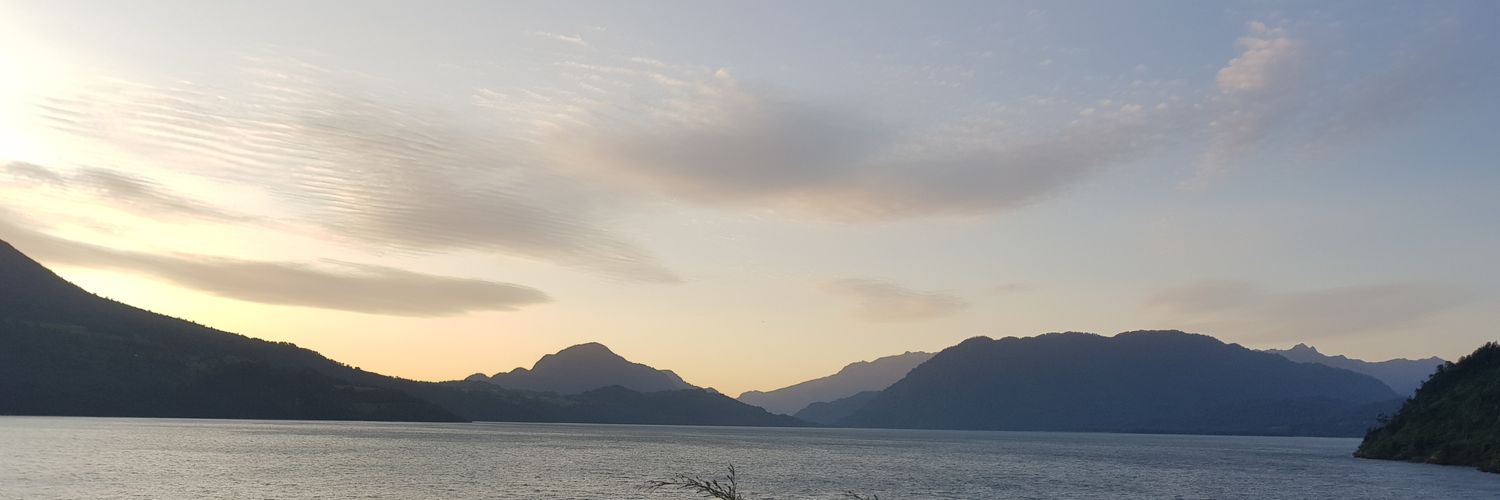 Patricio Cerda Mardini banner