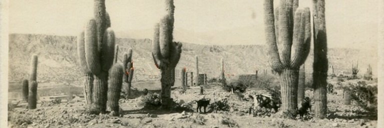 Humahuaca10000's profile banner image