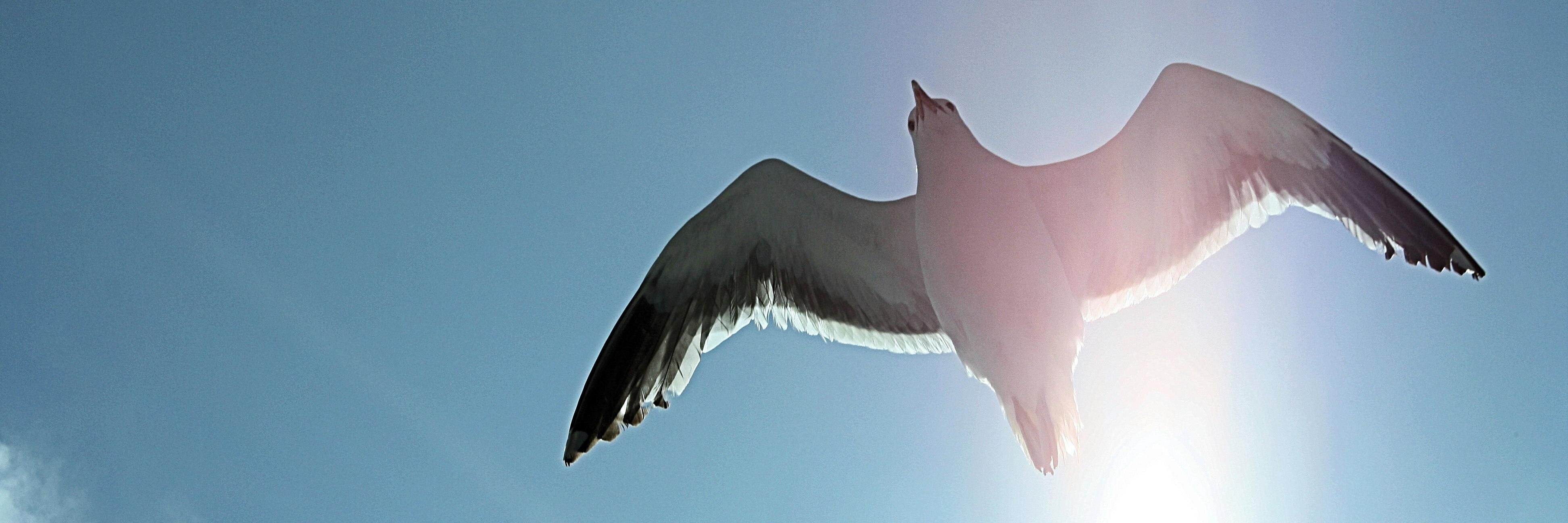 EricKRice's profile banner image