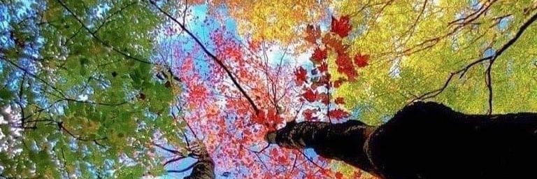 vceballosa's profile banner image