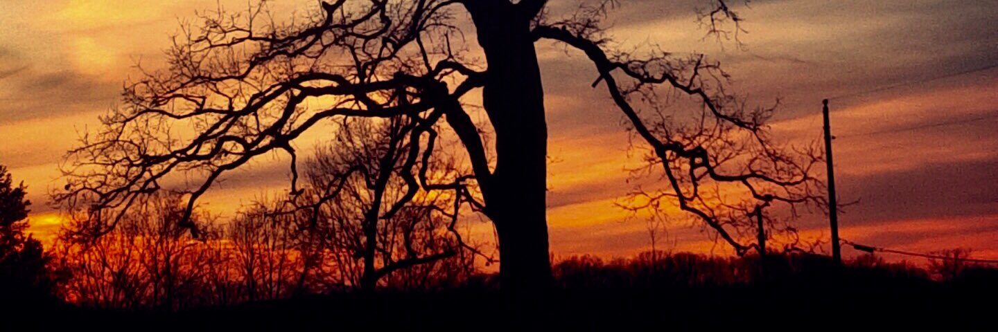 Candice Allouch Kirel banner