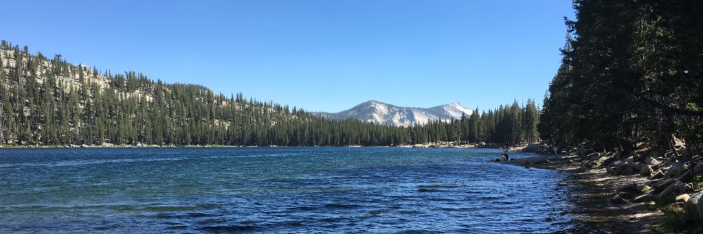 Lil_haaay's profile banner image