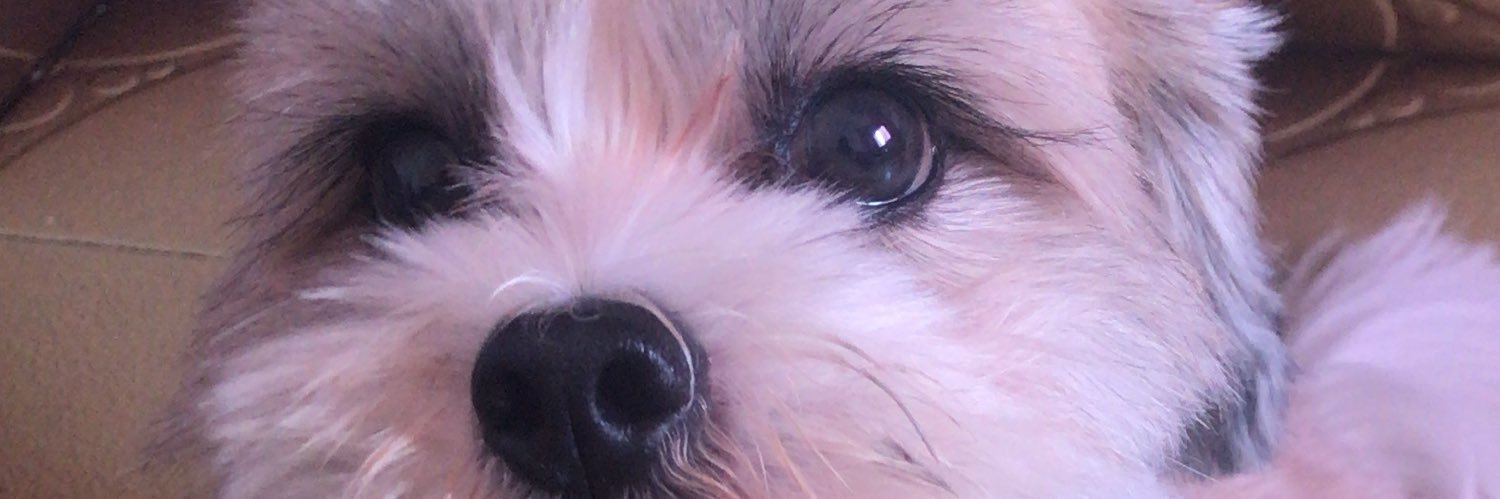 Cunhalett's profile banner image